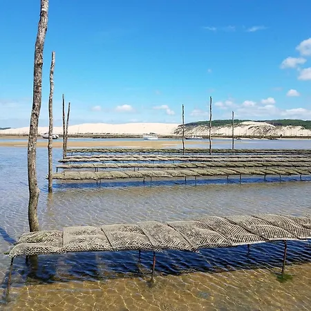 T3 A Arcachon, 3 Min Plage, Terrasse Plein Sud Et Garage Prive - Fr-1-474-257 *